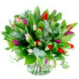 Bloemen - Spring mixed bouquet of tulips in red, pink and purple